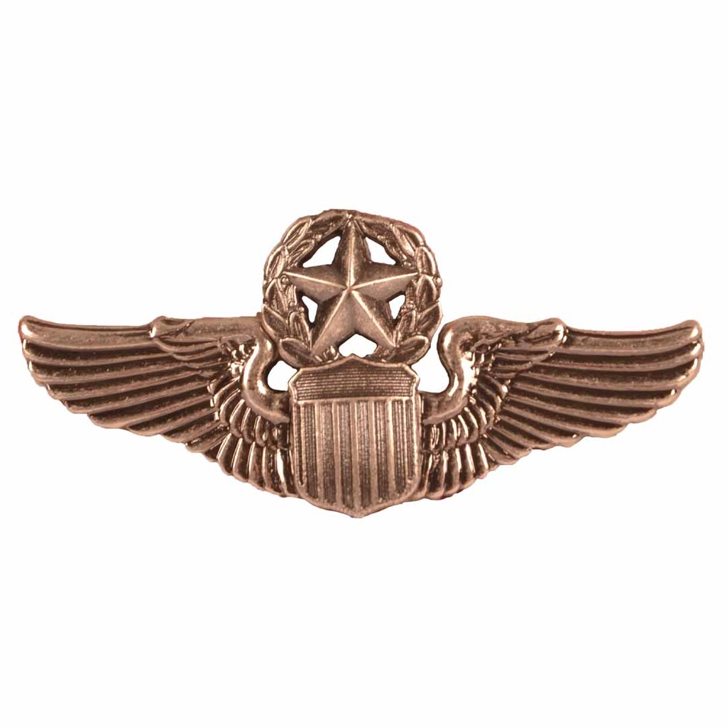 Badge US Command Pilot