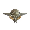 Official Para Certificate Badge