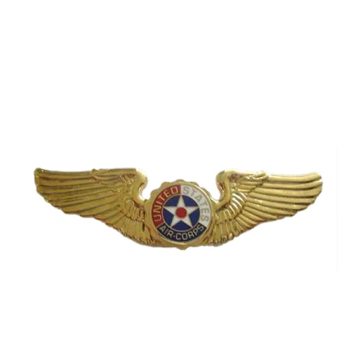 [37231  BRITTANY] Badge Us Army Air Corps